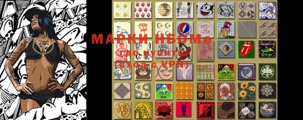 шишки Майский
