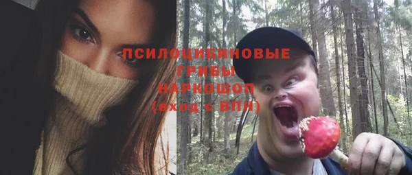 хмурый Лиски