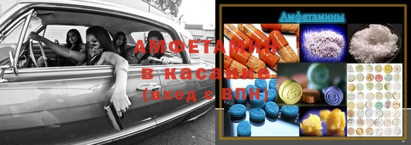 шишки Майский